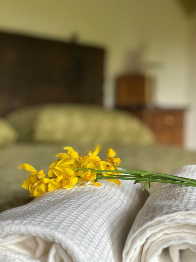 Bed and Breakfast Cascina Boschetto Saliceto Exteriér fotografie