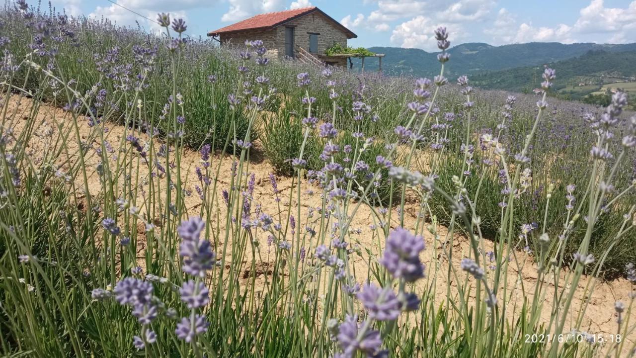 Bed and Breakfast Cascina Boschetto Saliceto Exteriér fotografie