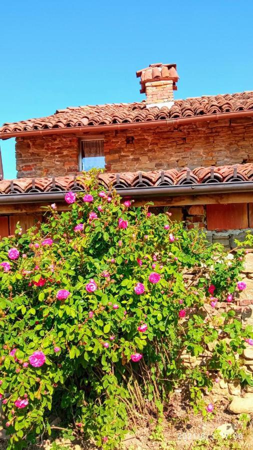 Bed and Breakfast Cascina Boschetto Saliceto Exteriér fotografie