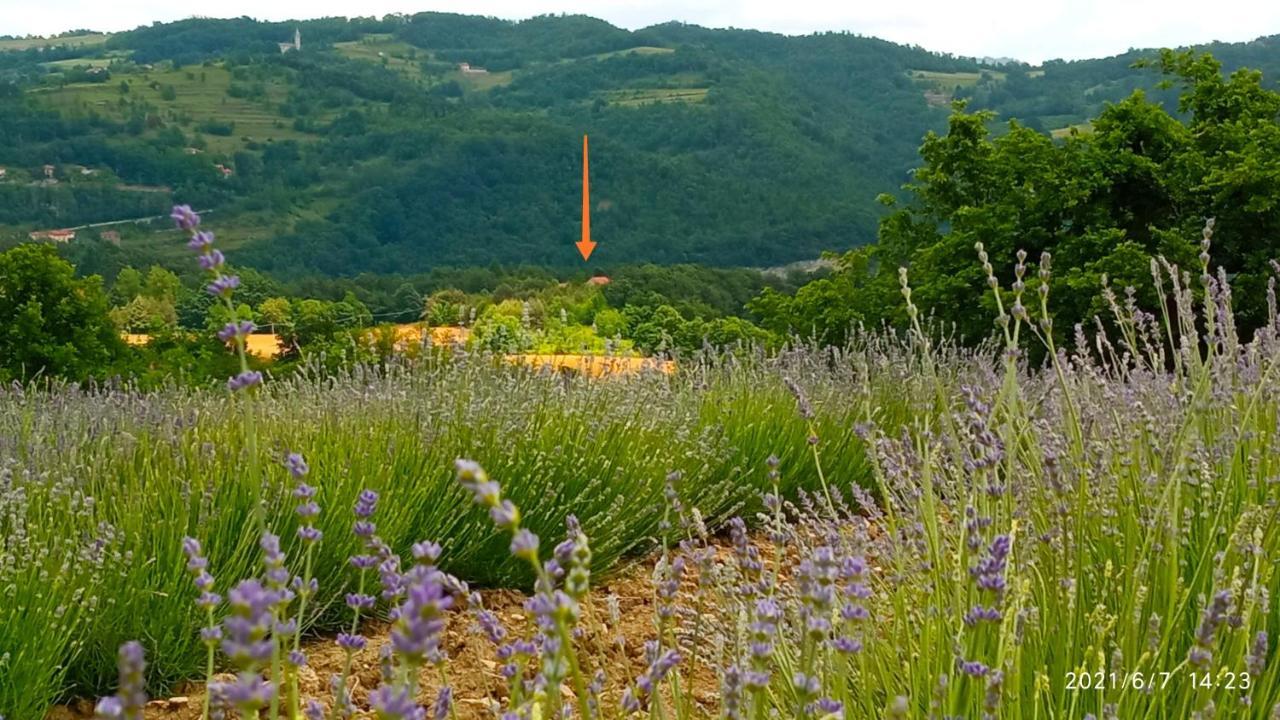 Bed and Breakfast Cascina Boschetto Saliceto Exteriér fotografie
