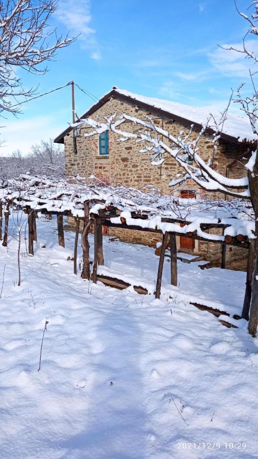 Bed and Breakfast Cascina Boschetto Saliceto Exteriér fotografie