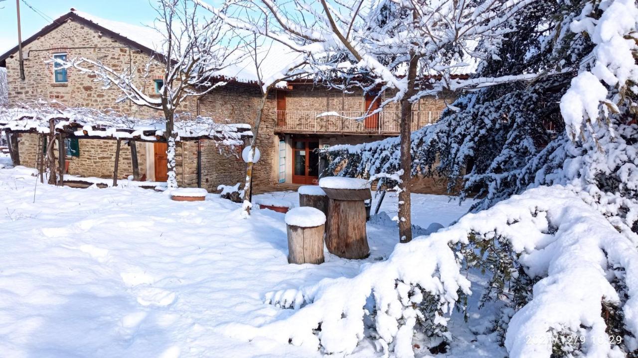 Bed and Breakfast Cascina Boschetto Saliceto Exteriér fotografie